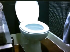 Телка мочится перед скрытой камерой